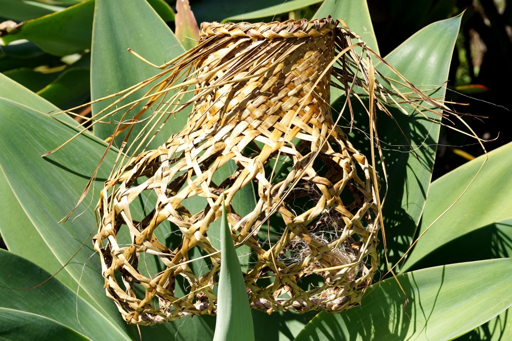 AllFlax - traditional flax weaving: hinaki